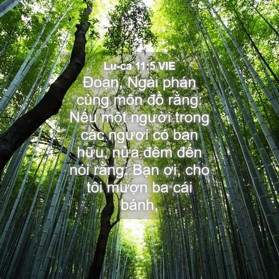 Picture 04 - Lu-ca 11:5 VIE - Đoạn, Ngài phán cùng môn đồ rằng: - Bible Verse Picture
