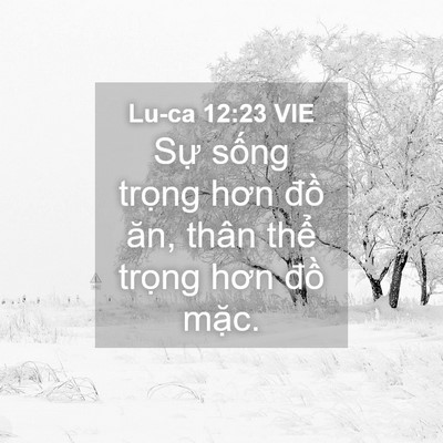 Picture 04 - Lu-ca 12:23 VIE - Sự sống trọng hơn đồ ăn, thân thể - Bible Verse Picture