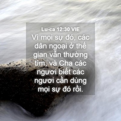 Picture 04 - Lu-ca 12:30 VIE - Vì mọi sự đó, các dân ngoại ở thế - Bible Verse Picture