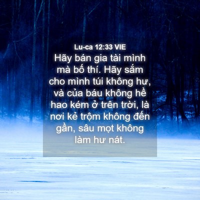 Picture 04 - Lu-ca 12:33 VIE - Hãy bán gia tài mình mà bố thí. Hãy - Bible Verse Picture
