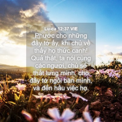 Picture 04 - Lu-ca 12:37 VIE - Phước cho những đầy tớ ấy, khi chủ - Bible Verse Picture