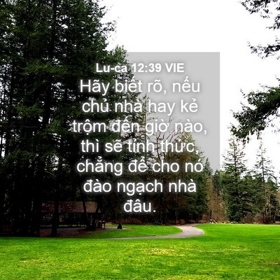 Picture 04 - Lu-ca 12:39 VIE - Hãy biết rõ, nếu chủ nhà hay kẻ trộm - Bible Verse Picture