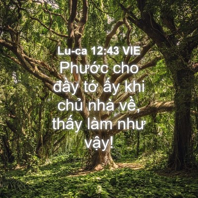 Picture 04 - Lu-ca 12:43 VIE - Phước cho đầy tớ ấy khi chủ nhà - Bible Verse Picture