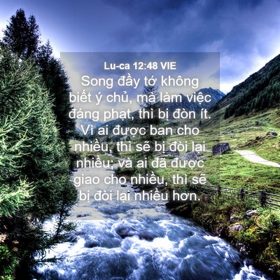 Picture 04 - Lu-ca 12:48 VIE - Song đầy tớ không biết ý chủ, mà làm - Bible Verse Picture