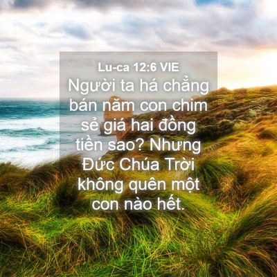 Picture 04 - Lu-ca 12:6 VIE - Người ta há chẳng bán năm con chim sẻ - Bible Verse Picture