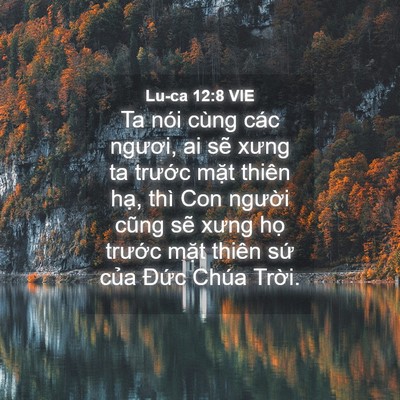 Picture 04 - Lu-ca 12:8 VIE - Ta nói cùng các ngươi, ai sẽ xưng ta - Bible Verse Picture