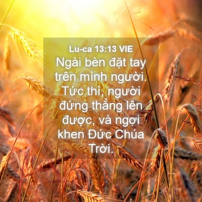 Picture 04 - Lu-ca 13:13 VIE - Ngài bèn đặt tay trên mình người. Tức - Bible Verse Picture
