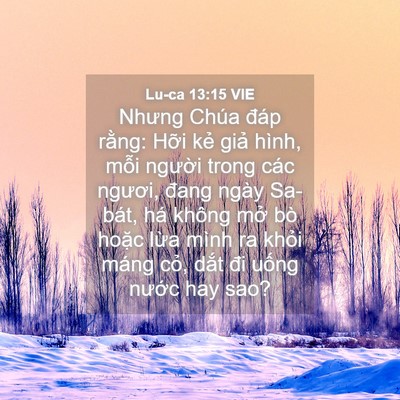 Picture 04 - Lu-ca 13:15 VIE - Nhưng Chúa đáp rằng: Hỡi kẻ giả - Bible Verse Picture