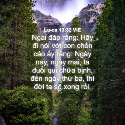 Picture 04 - Lu-ca 13:32 VIE - Ngài đáp rằng: Hãy đi nói với con - Bible Verse Picture
