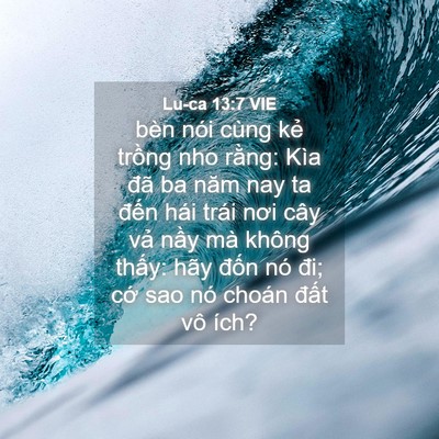 Picture 04 - Lu-ca 13:7 VIE - bèn nói cùng kẻ trồng nho rằng: Kìa - Bible Verse Picture