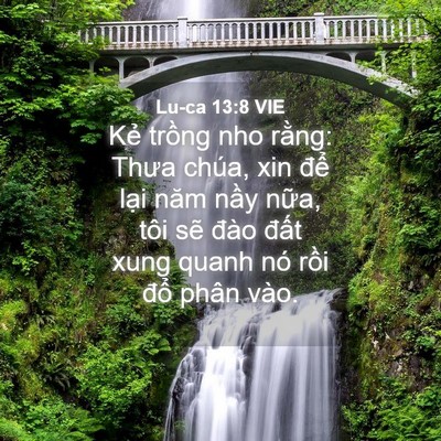 Picture 04 - Lu-ca 13:8 VIE - Kẻ trồng nho rằng: Thưa chúa, xin để - Bible Verse Picture