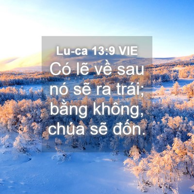 Picture 04 - Lu-ca 13:9 VIE - Có lẽ về sau nó sẽ ra trái; bằng - Bible Verse Picture