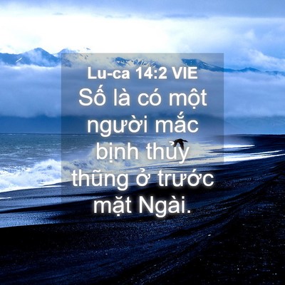 Picture 04 - Lu-ca 14:2 VIE - Số là có một người mắc bịnh thủy - Bible Verse Picture