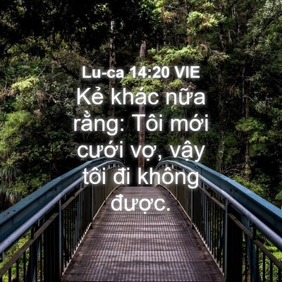 Picture 04 - Lu-ca 14:20 VIE - Kẻ khác nữa rằng: Tôi mới cưới vợ, - Bible Verse Picture