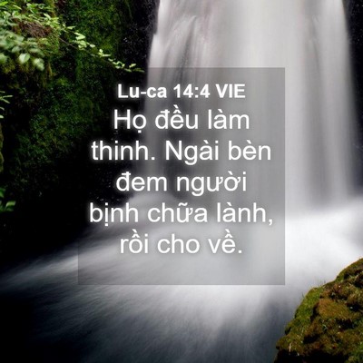 Picture 04 - Lu-ca 14:4 VIE - Họ đều làm thinh. Ngài bèn đem người - Bible Verse Picture