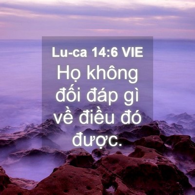 Picture 04 - Lu-ca 14:6 VIE - Họ không đối đáp gì về điều đó - Bible Verse Picture