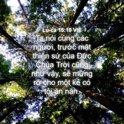 Picture 04 - Lu-ca 15:10 VIE - Ta nói cùng các ngươi, trước mặt thiên - Bible Verse Picture