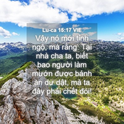 Picture 04 - Lu-ca 15:17 VIE - Vậy nó mới tỉnh ngộ, mà rằng: Tại - Bible Verse Picture