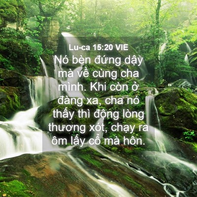 Picture 04 - Lu-ca 15:20 VIE - Nó bèn đứng dậy mà về cùng cha mình. - Bible Verse Picture