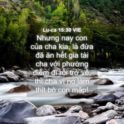 Picture 04 - Lu-ca 15:30 VIE - Nhưng nay con của cha kia, là đứa đã ăn - Bible Verse Picture
