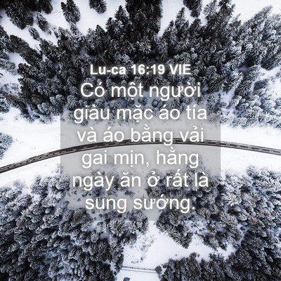 Picture 04 - Lu-ca 16:19 VIE - Có một người giàu mặc áo tía và áo - Bible Verse Picture