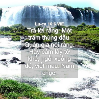 Picture 04 - Lu-ca 16:6 VIE - Trả lời rằng: Một trăm thùng dầu. - Bible Verse Picture