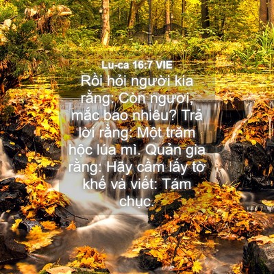 Picture 04 - Lu-ca 16:7 VIE - Rồi hỏi người kia rằng: Còn ngươi, - Bible Verse Picture