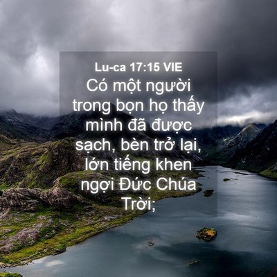 Picture 04 - Lu-ca 17:15 VIE - Có một người trong bọn họ thấy mình - Bible Verse Picture