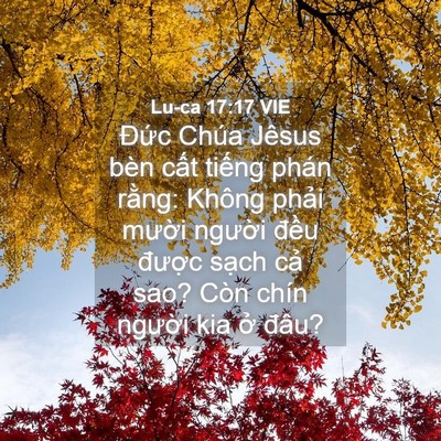 Picture 04 - Lu-ca 17:17 VIE - Đức Chúa Jêsus bèn cất tiếng phán - Bible Verse Picture