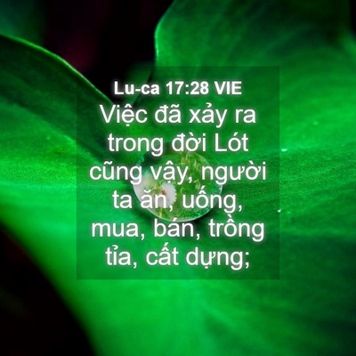 Picture 04 - Lu-ca 17:28 VIE - Việc đã xảy ra trong đời Lót cũng - Bible Verse Picture
