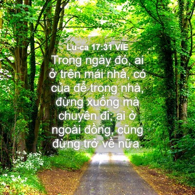 Picture 04 - Lu-ca 17:31 VIE - Trong ngày đó, ai ở trên mái nhà, có - Bible Verse Picture