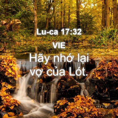 Picture 04 - Lu-ca 17:32 VIE - Hãy nhớ lại vợ của - Bible Verse Picture