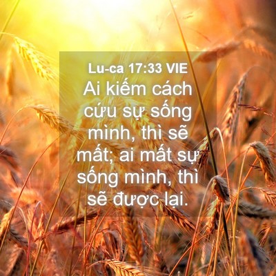 Picture 04 - Lu-ca 17:33 VIE - Ai kiếm cách cứu sự sống mình, thì - Bible Verse Picture