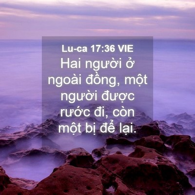 Picture 04 - Lu-ca 17:36 VIE - Hai người ở ngoài đồng, một người - Bible Verse Picture