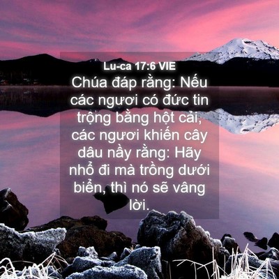 Picture 04 - Lu-ca 17:6 VIE - Chúa đáp rằng: Nếu các ngươi có đức - Bible Verse Picture
