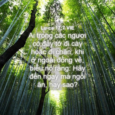 Picture 04 - Lu-ca 17:7 VIE - Ai trong các ngươi có đầy tớ đi cày - Bible Verse Picture
