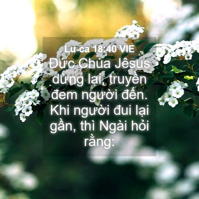 Picture 04 - Lu-ca 18:40 VIE - Đức Chúa Jêsus dừng lại, truyền đem - Bible Verse Picture