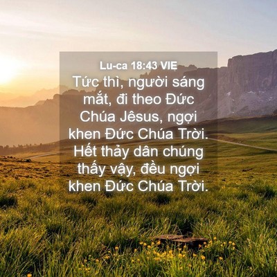 Picture 04 - Lu-ca 18:43 VIE - Tức thì, người sáng mắt, đi theo Đức - Bible Verse Picture
