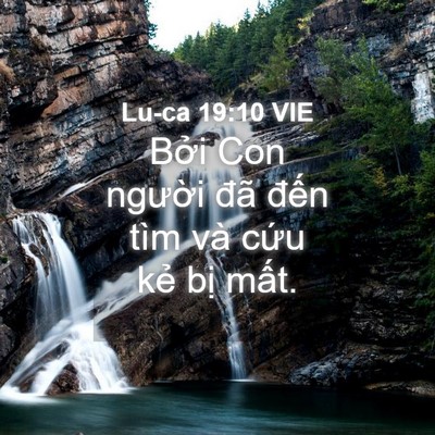 Picture 04 - Lu-ca 19:10 VIE - Bởi Con người đã đến tìm và cứu - Bible Verse Picture