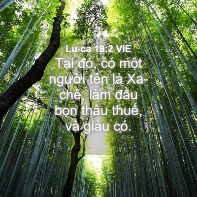 Picture 04 - Lu-ca 19:2 VIE - Tại đó, có một người tên là Xa-chê, - Bible Verse Picture