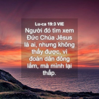 Picture 04 - Lu-ca 19:3 VIE - Người đó tìm xem Đức Chúa Jêsus là - Bible Verse Picture