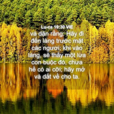 Picture 04 - Lu-ca 19:30 VIE - và dặn rằng: Hãy đi đến làng trước - Bible Verse Picture