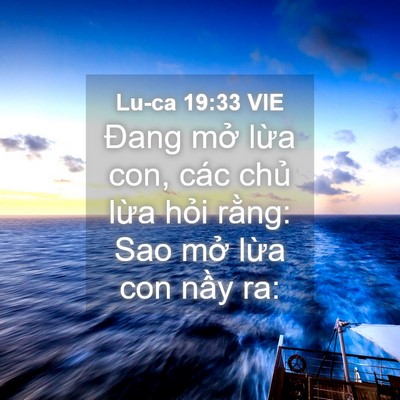 Picture 04 - Lu-ca 19:33 VIE - Đang mở lừa con, các chủ lừa hỏi - Bible Verse Picture