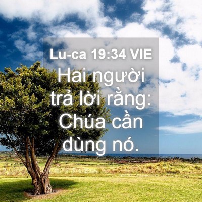 Picture 04 - Lu-ca 19:34 VIE - Hai người trả lời rằng: Chúa cần - Bible Verse Picture