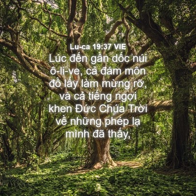 Picture 04 - Lu-ca 19:37 VIE - Lúc đến gần dốc núi ô-li-ve, cả đám - Bible Verse Picture