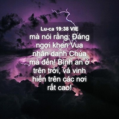 Picture 04 - Lu-ca 19:38 VIE - mà nói rằng: Đáng ngợi khen Vua nhân - Bible Verse Picture