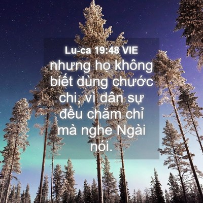 Picture 04 - Lu-ca 19:48 VIE - nhưng họ không biết dùng chước chi, vì - Bible Verse Picture