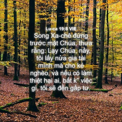 Picture 04 - Lu-ca 19:8 VIE - Song Xa-chê đứng trước mặt Chúa, thưa - Bible Verse Picture