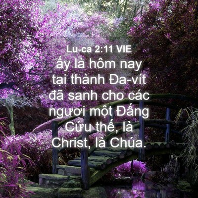 Picture 04 - Lu-ca 2:11 VIE - ấy là hôm nay tại thành Đa-vít đã sanh - Bible Verse Picture