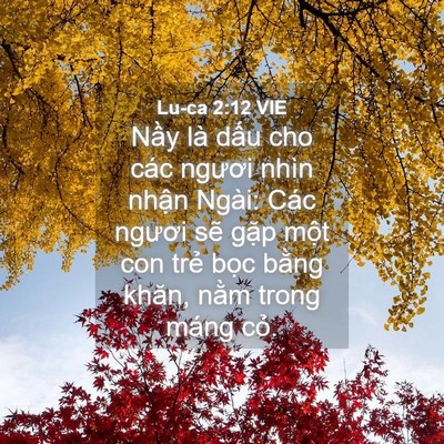 Picture 04 - Lu-ca 2:12 VIE - Nầy là dấu cho các ngươi nhìn nhận - Bible Verse Picture